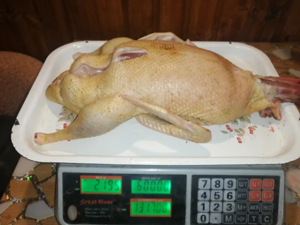 Утка (мясо)