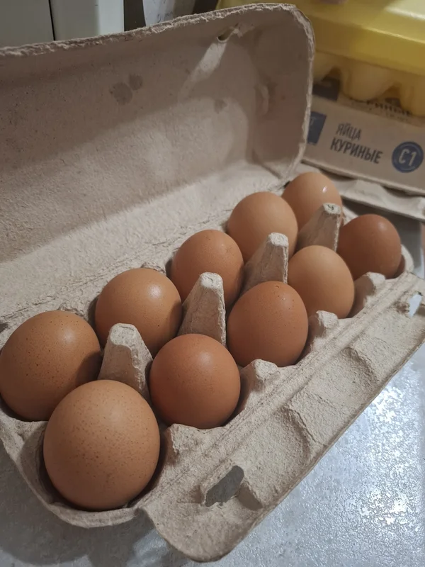 Домашние яйца
