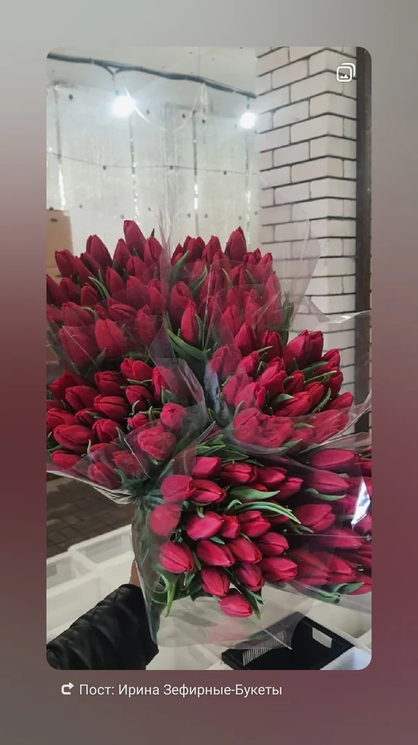 Тюльпан