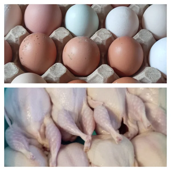 Куриные яйца