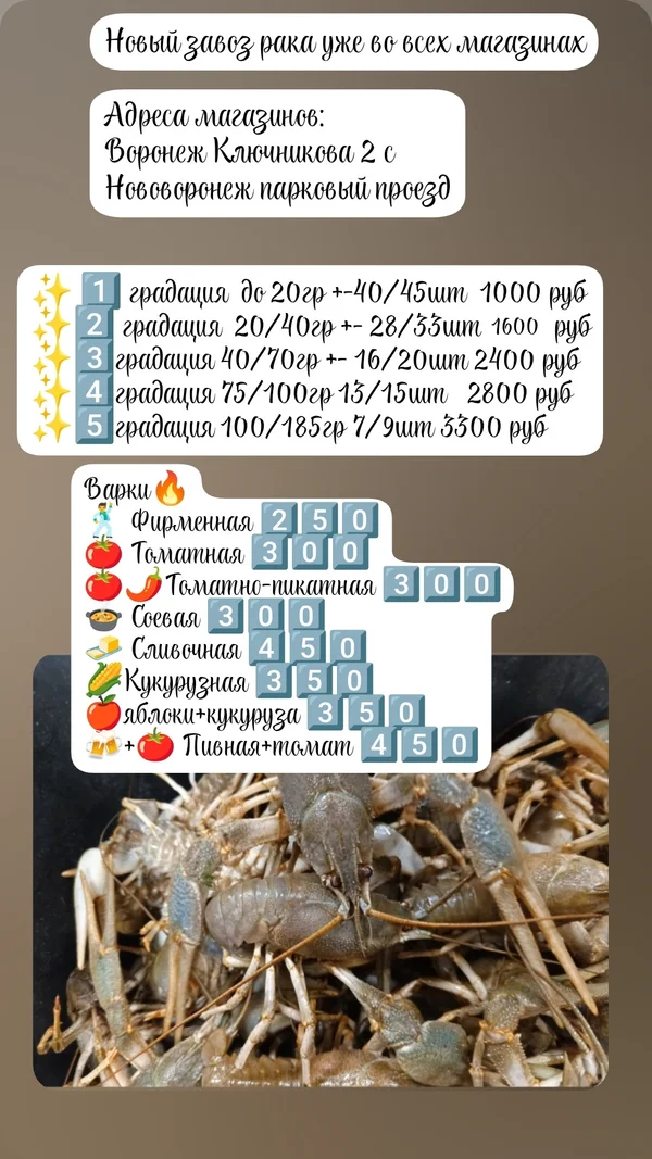 Рак