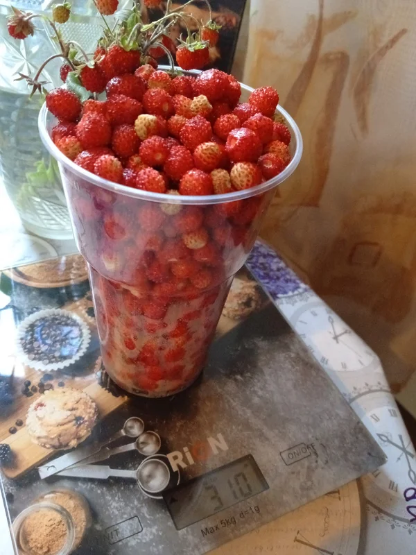 Земляника лесная
