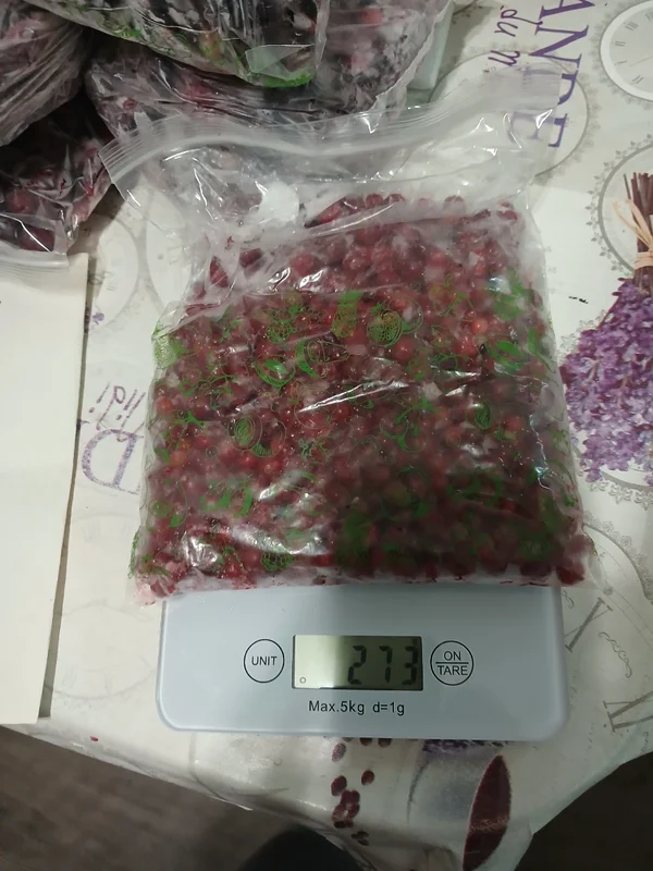 Красная смородина