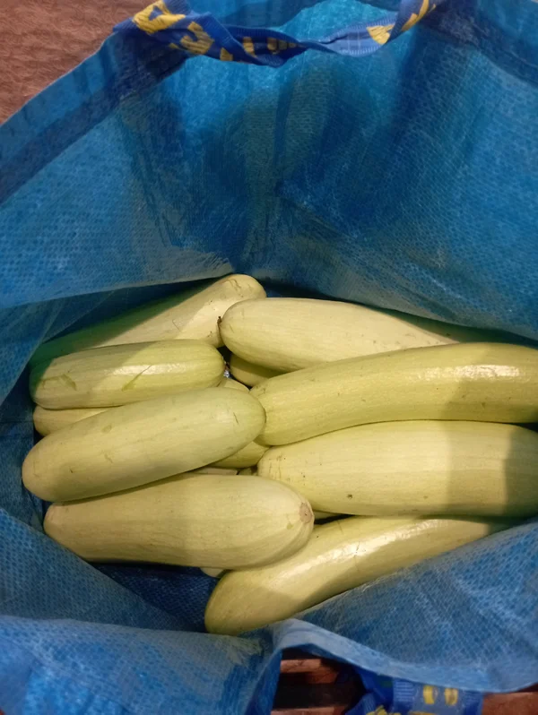 Кабачки