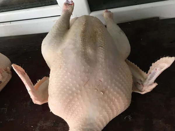 Домашние мясо индейки