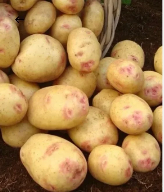 Картофель Пикассо