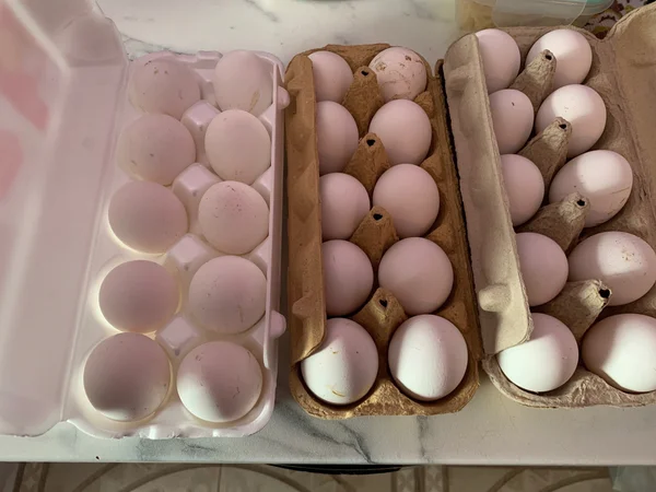 Яички куриные