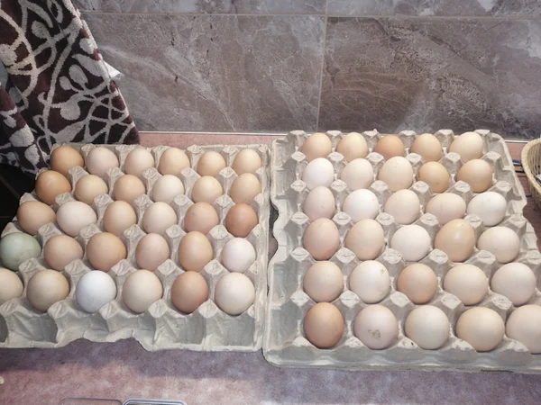 Куриное яйцо