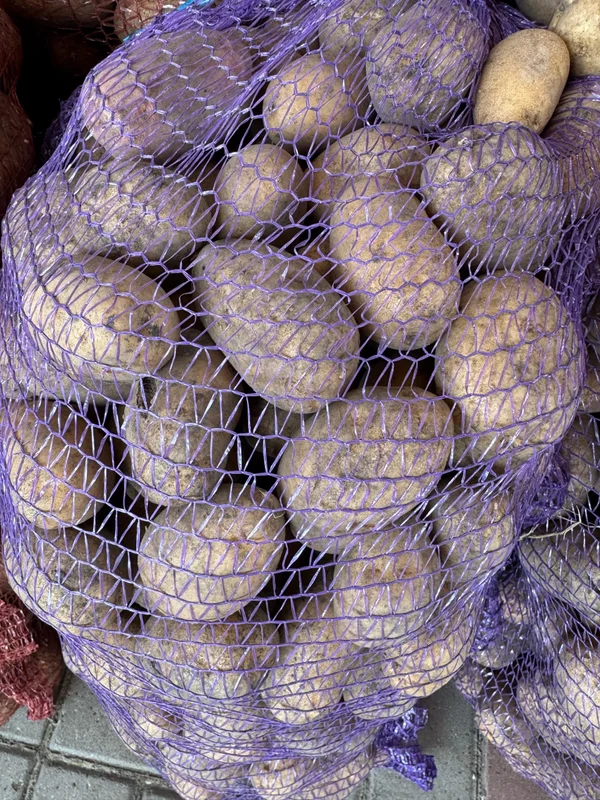 Картошка домашняя