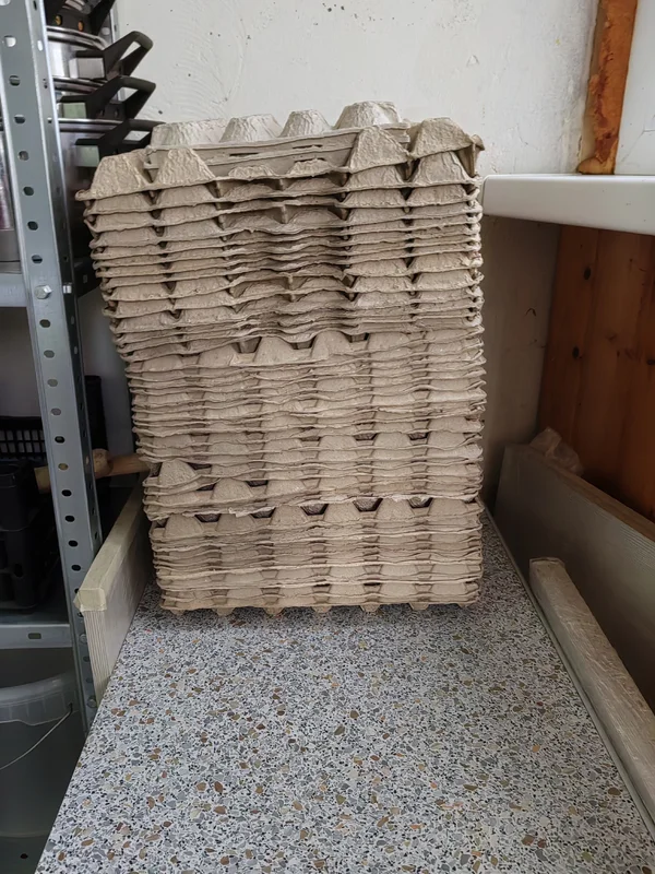 Большие лотки