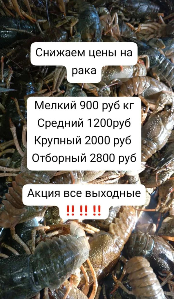 Товар