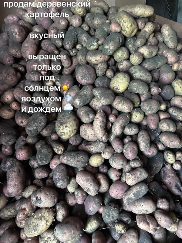 Деревенский картофель