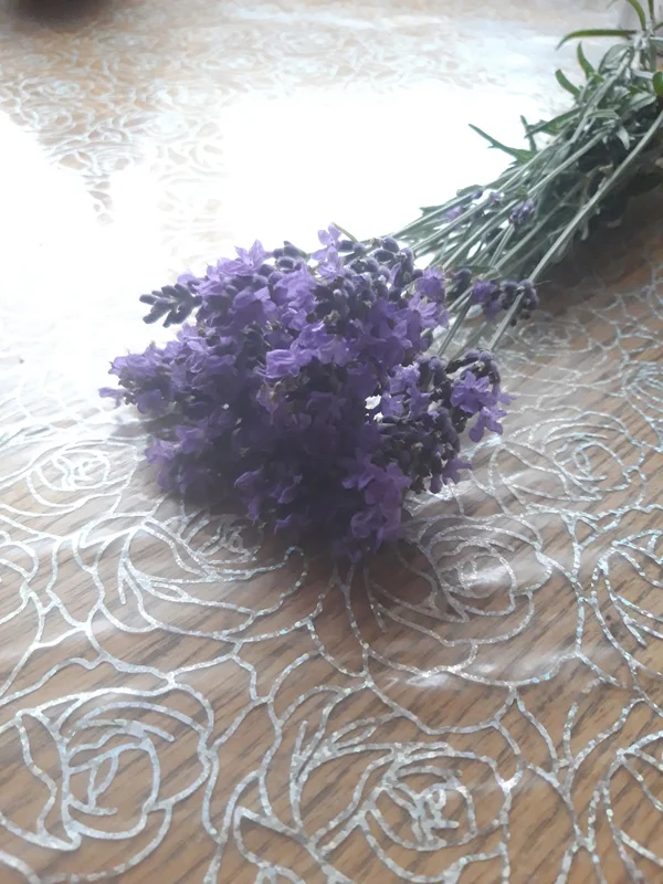 Лаванда