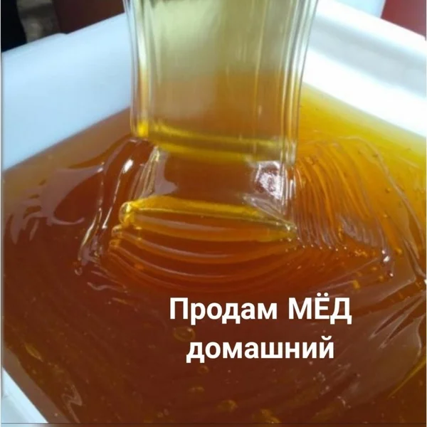 Луговой мед