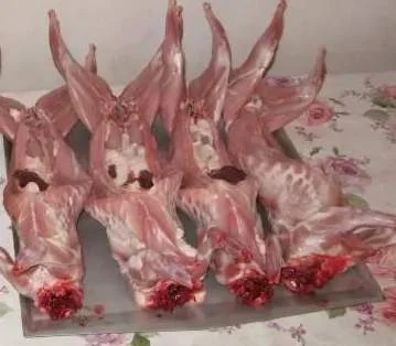 Мясо кролика