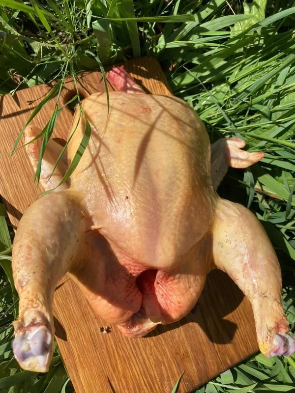 Мясо бройлера