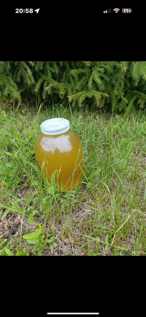 Липовый мёд с пасеки