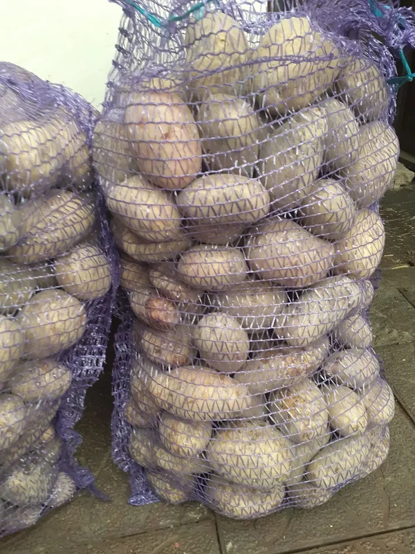 Домашний картофель