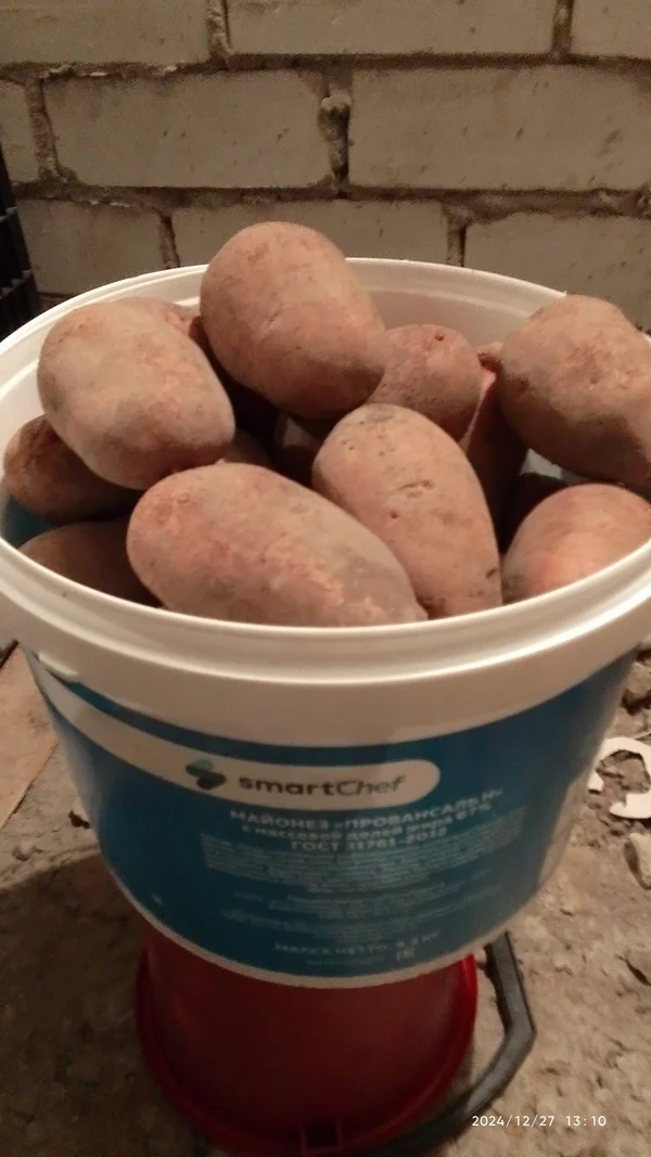 Картофель