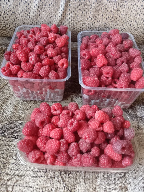 Малина