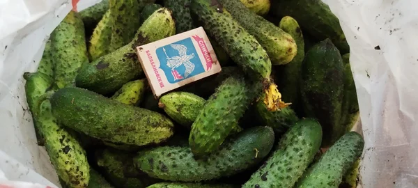 Огурцы