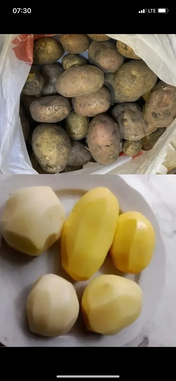 Картофель деревенский