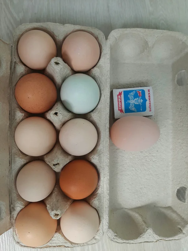 Куриные яйца