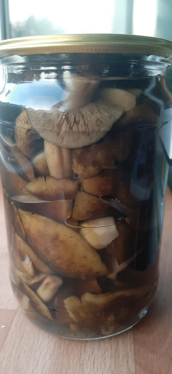 Соленые грузди