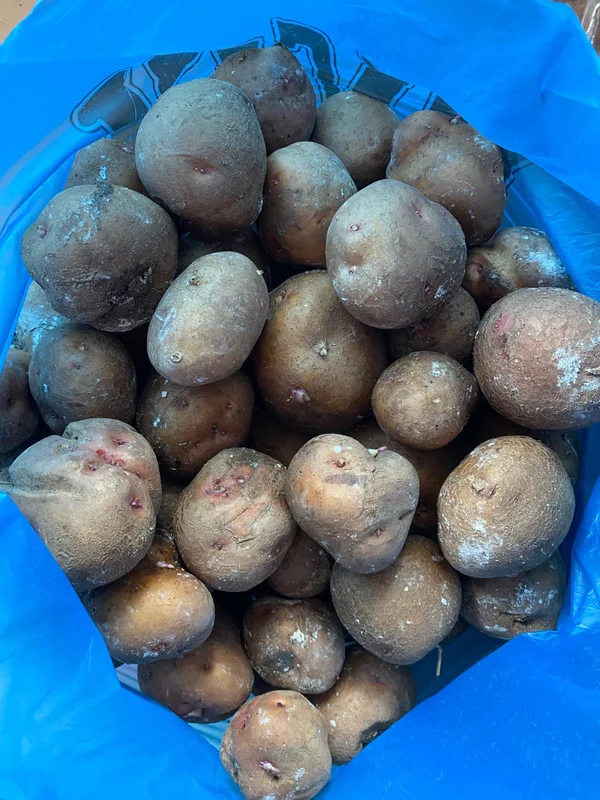 Картофель