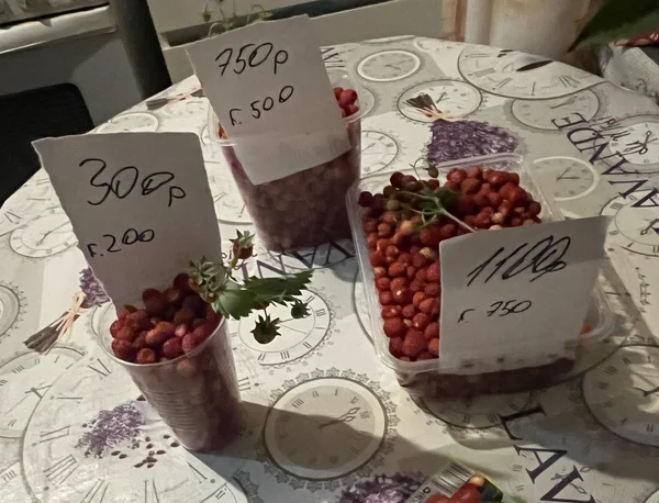 Лесная земляника