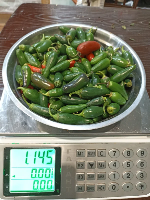 Перец халапенью