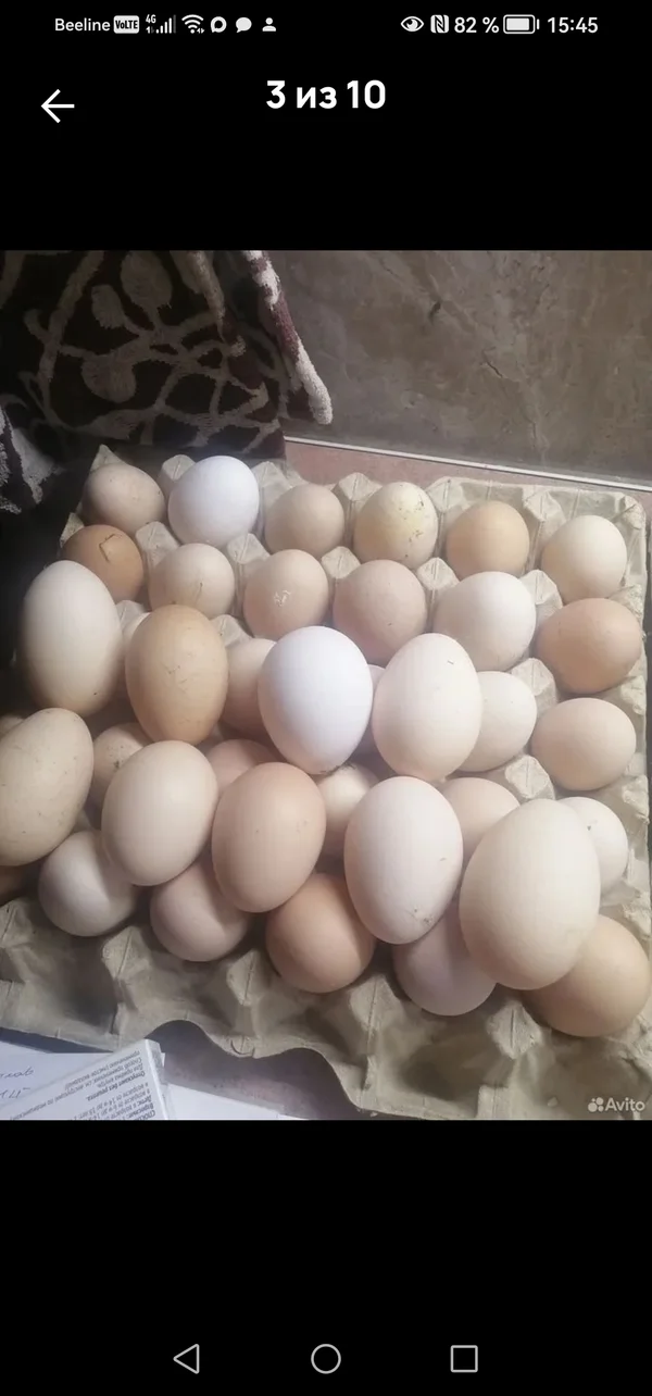 Яйцо куриное