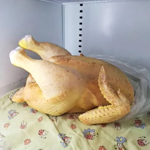 Курица