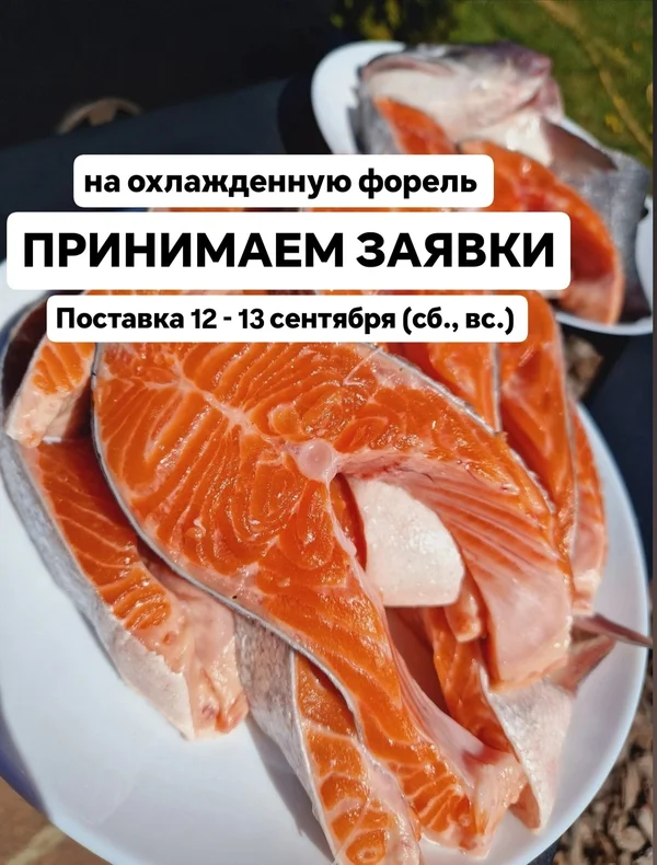Форель