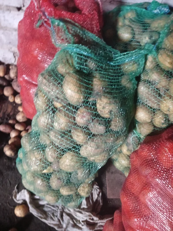 Картофель