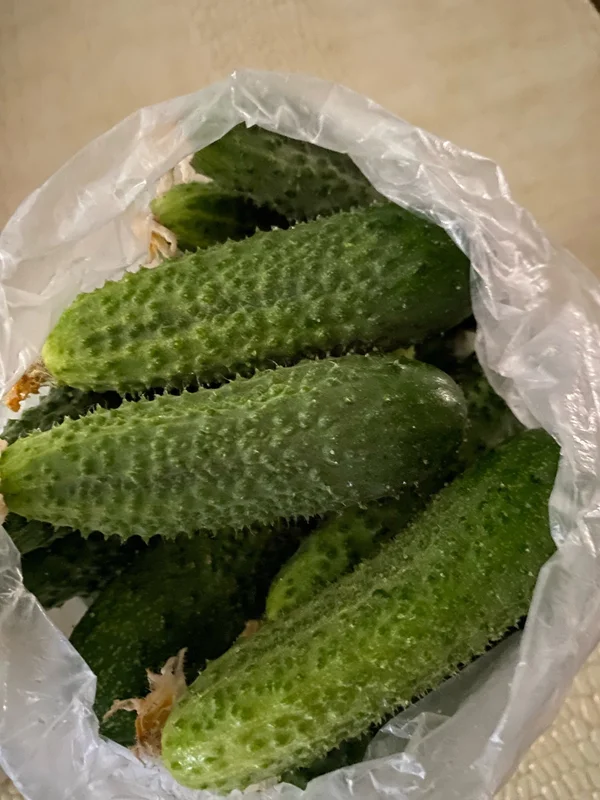 Огурцы