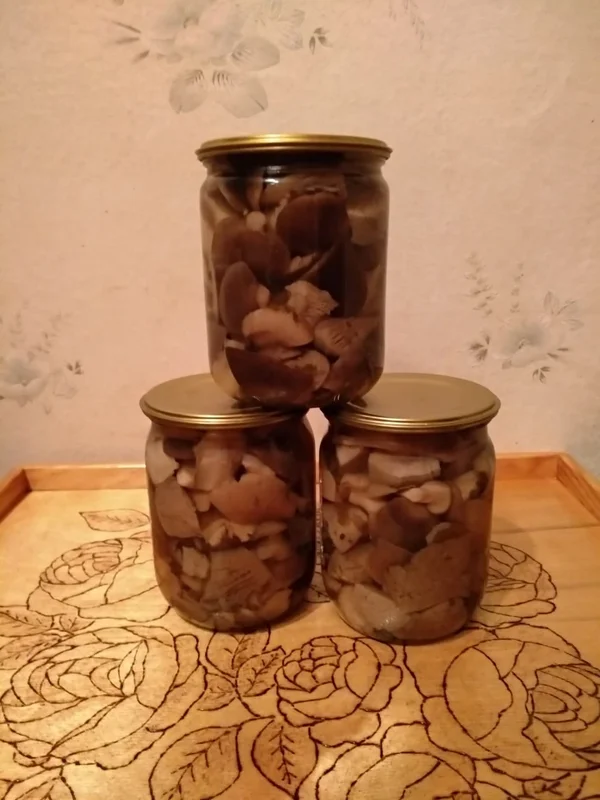 Маринованные грибочки вешенка лесная