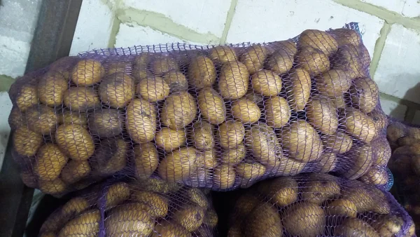 Картофель