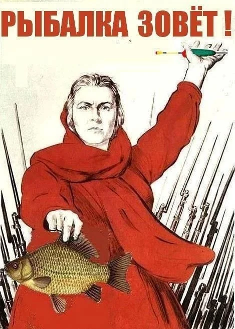 Донской Карась