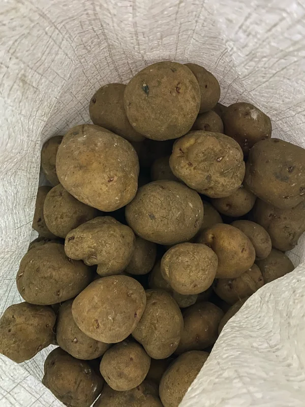 Картофель