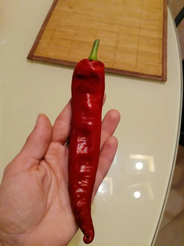 Горький перец