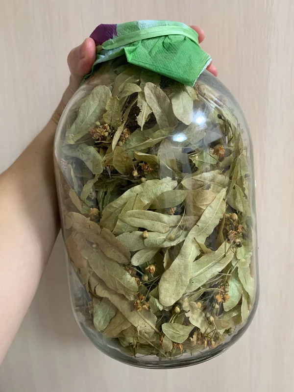 Липа сушеная