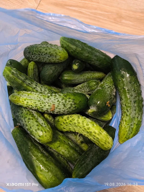 Огурчики