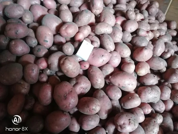 Картофель