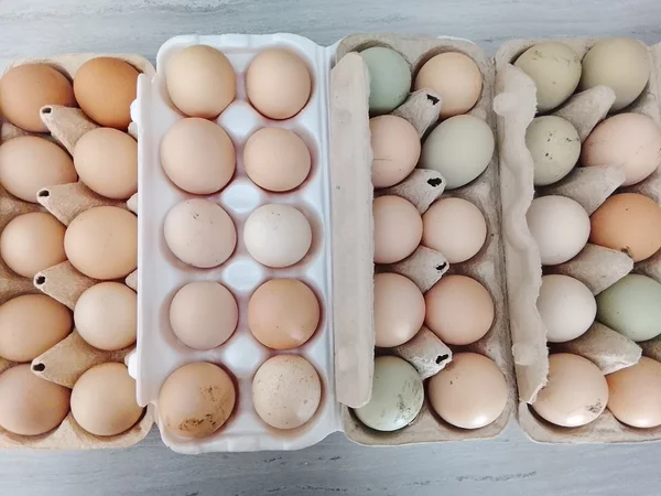 Куриные яйца домашние