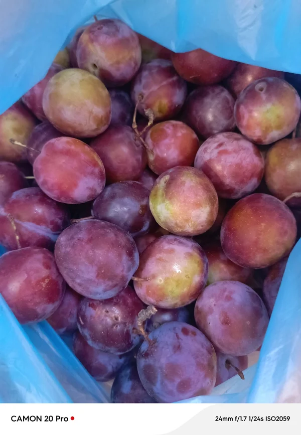 Сливы