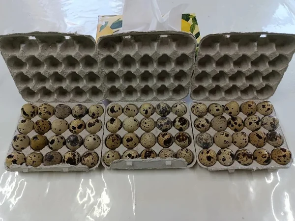 Перепелиные яйца