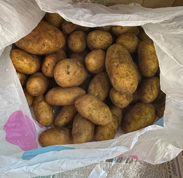 Картофель