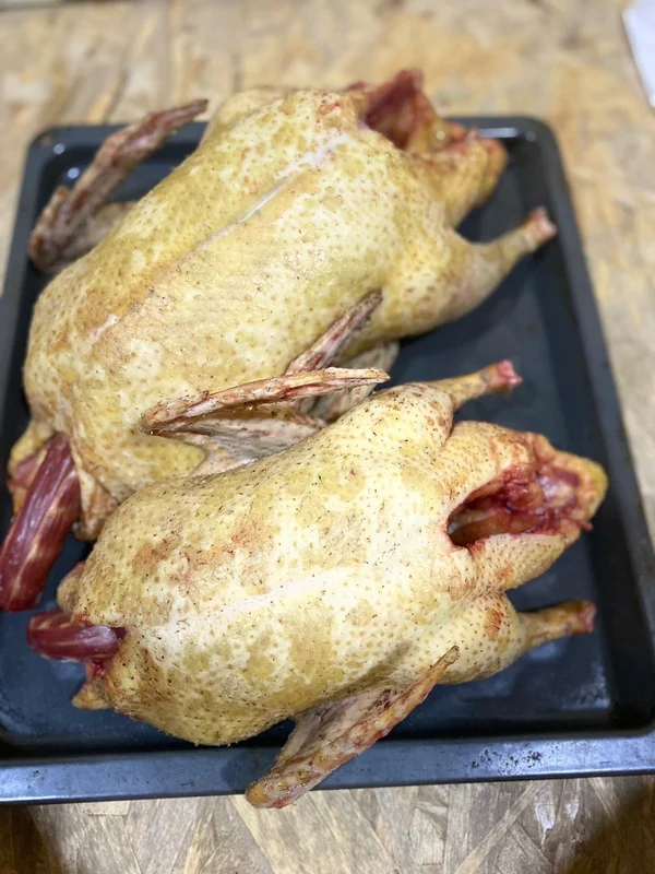 Мускусных уток