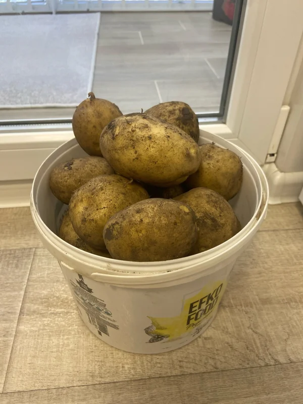 Картофель
